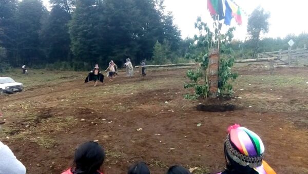 ¿Qué bailaban los mapuches?
